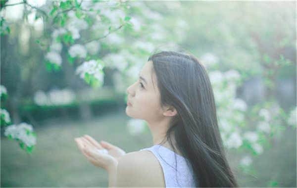 博湖验血查男女几周可以验(验血查男女结果图)